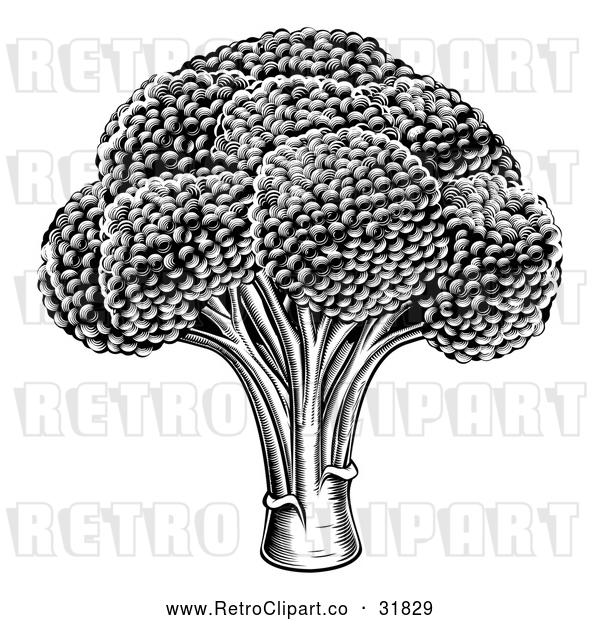 Vector Clip Art of Retro Black Broccoli