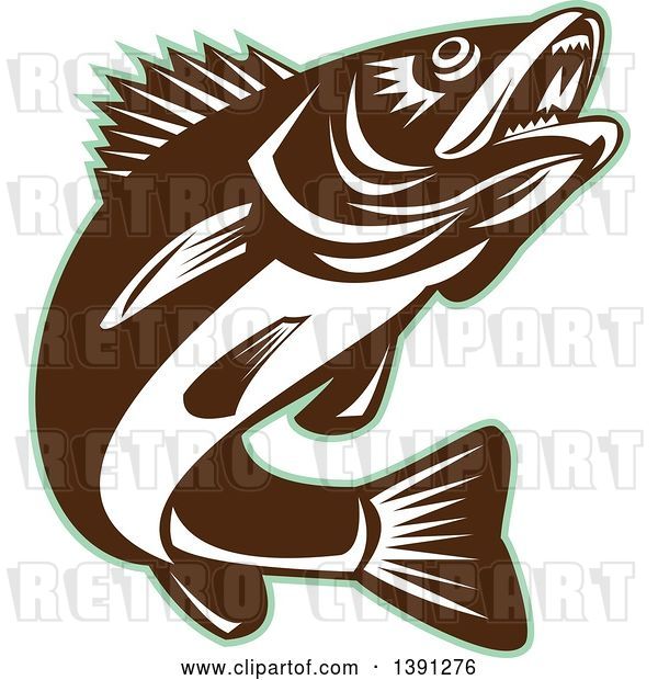 Vector Clip Art of Retro Brown and White Walleye Fish Jumping, with a Green Outline