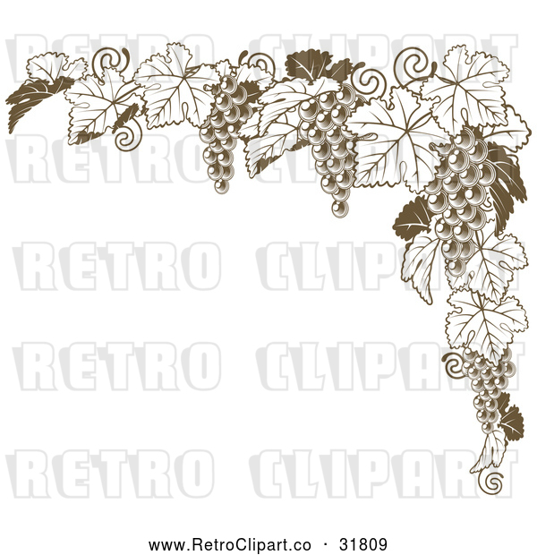 Vector Clip Art of Retro Brown Grape Vine Corner Border
