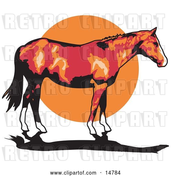Vector Clip Art of Retro Brown Horse with White Feet Standing Against a Sunset