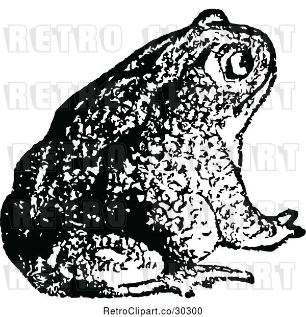 Vector Clip Art of Retro Bull Frog 2