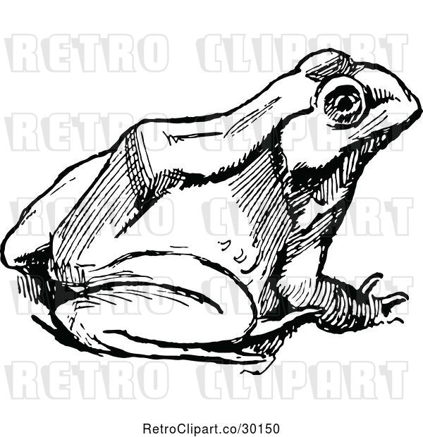 Vector Clip Art of Retro Bull Frog 3