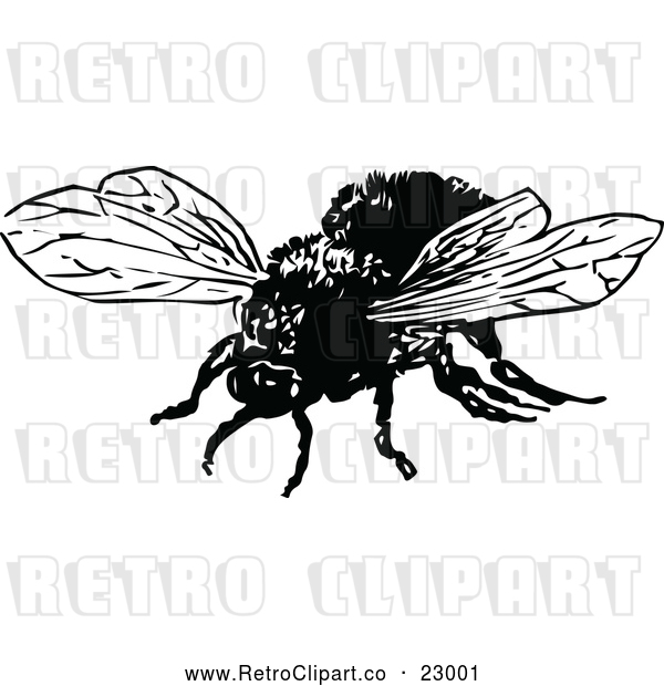 Vector Clip Art of Retro Bumble Bee
