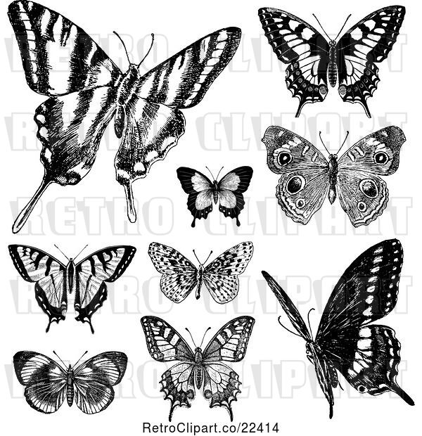 Vector Clip Art of Retro Butterflies 2