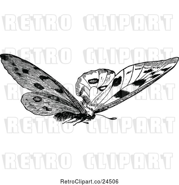 Vector Clip Art of Retro Butterfly 2
