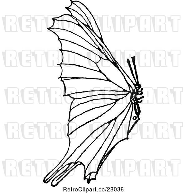 Vector Clip Art of Retro Butterfly