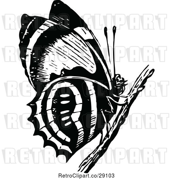 Vector Clip Art of Retro Butterfly on a Twig