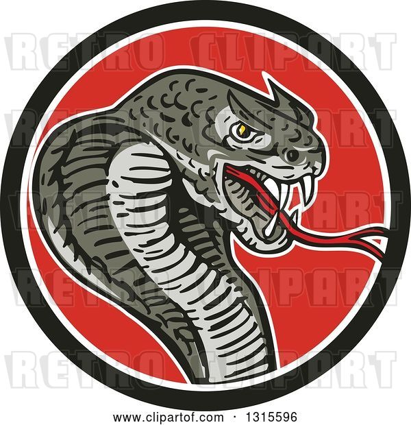 Vector Clip Art of Retro Cartoon Attacking Cobra Snake in a Black White and Red Circle