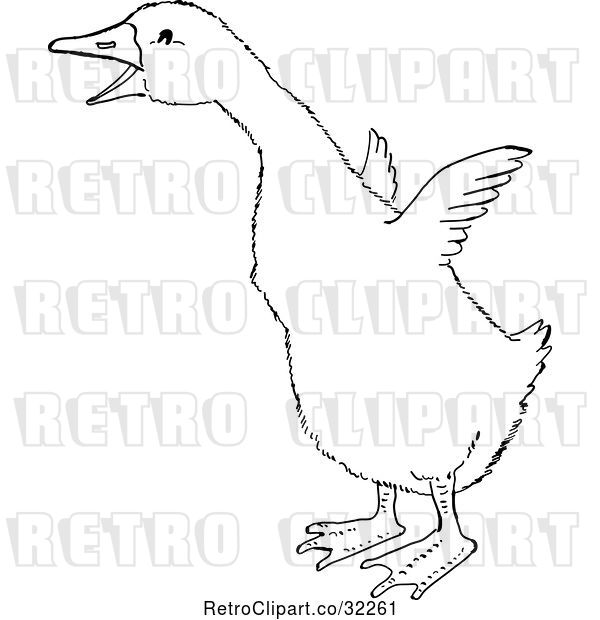 Vector Clip Art of Retro Cartoon Gosling Flapping Its Wings Line Drawing