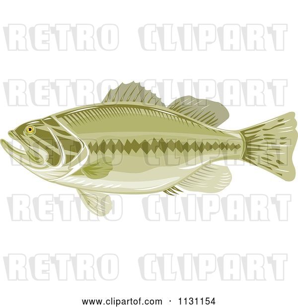Vector Clip Art of Retro Cartoon Green Largemouth Bass Fish in Profile