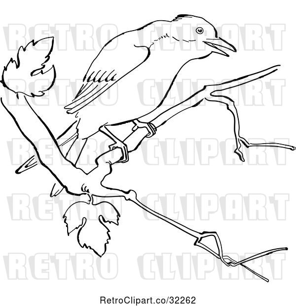 Vector Clip Art of Retro Cartoon Mockingbird in a Tree Line Drawing