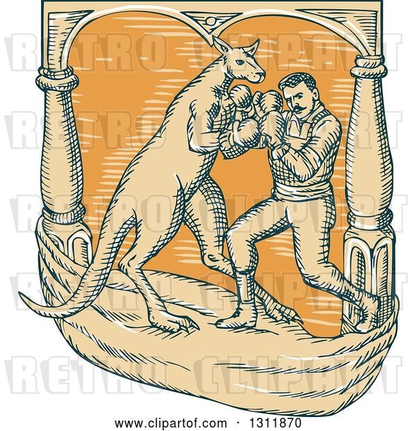 Vector Clip Art of Retro Cartoon Sketched Male Boxer Fighting a Kangaroo