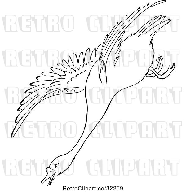 Vector Clip Art of Retro Cartoon Swan Descending in Flight Line Drawing