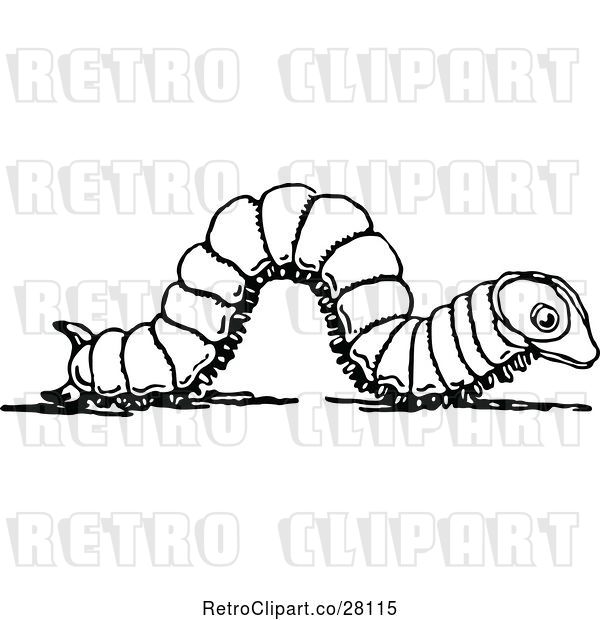 Vector Clip Art of Retro Caterpillar