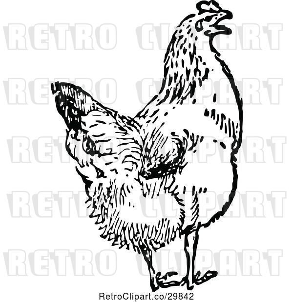 Vector Clip Art of Retro Chicken