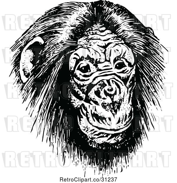 Vector Clip Art of Retro Chimp Face