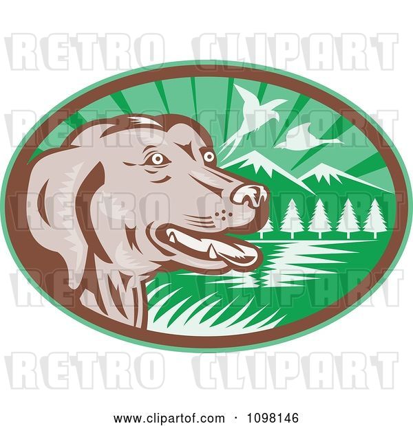 Vector Clip Art of Retro Chocolate Lab Dog by a Lake with Pheasants Flying in a Green Ova