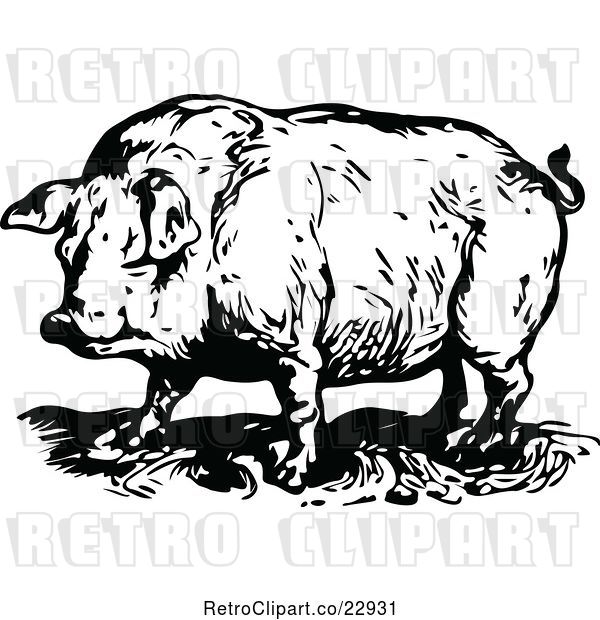 Vector Clip Art of Retro Chubby Pig