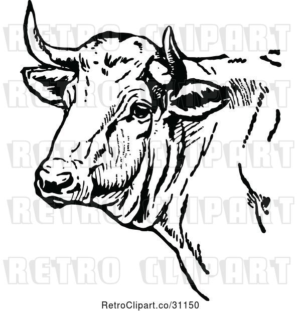 Vector Clip Art of Retro Cow Head