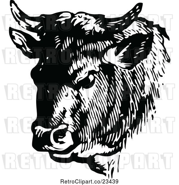 Vector Clip Art of Retro Cow Portrait 2