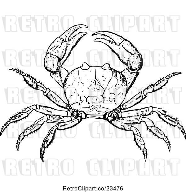 Vector Clip Art of Retro Crab