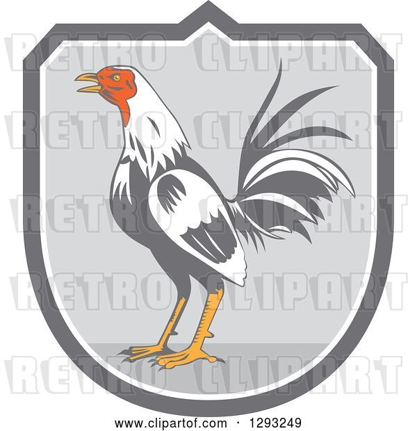 Vector Clip Art of Retro Crowing Rooster in a Gray and White Shield