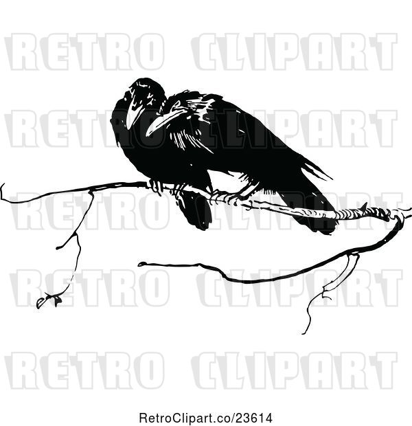 Vector Clip Art of Retro Crows on a Branch