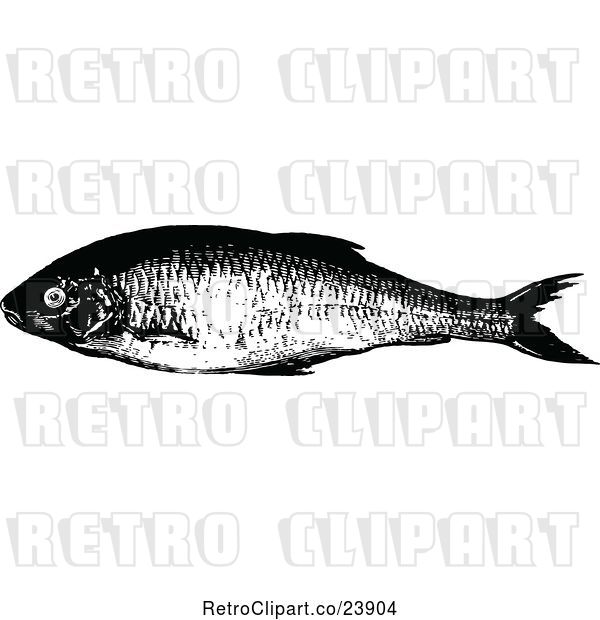 Vector Clip Art of Retro Dace Fish