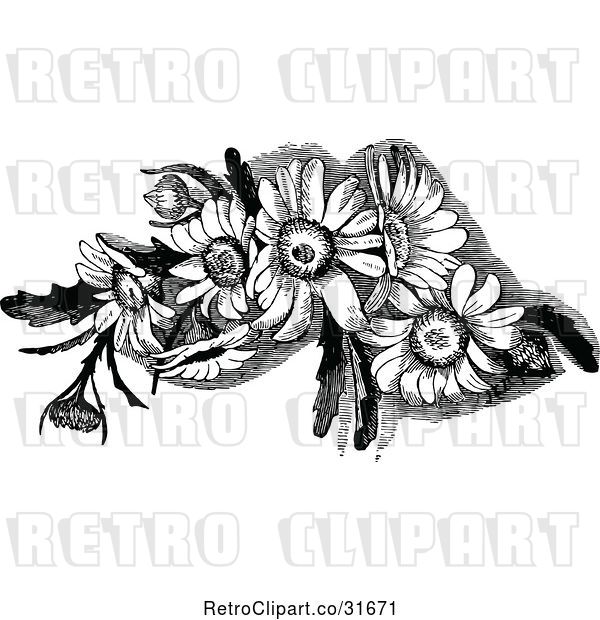 Vector Clip Art of Retro Daisy Flowers