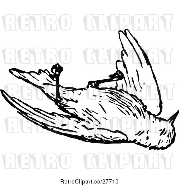 Vector Clip Art of Retro Dead Bird
