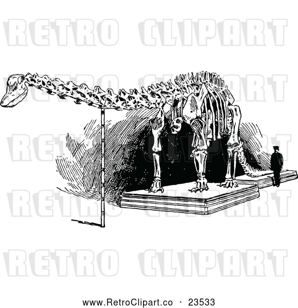 Vector Clip Art of Retro Diplodocus Dinosaur Skeleton