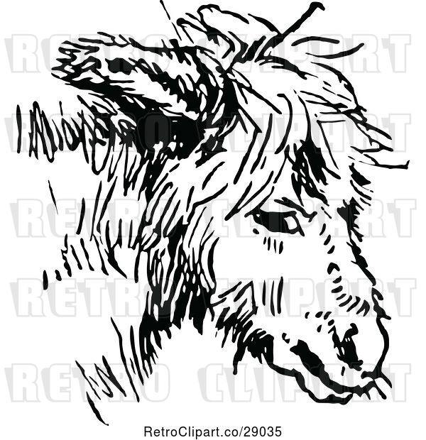 Vector Clip Art of Retro Donkey Face