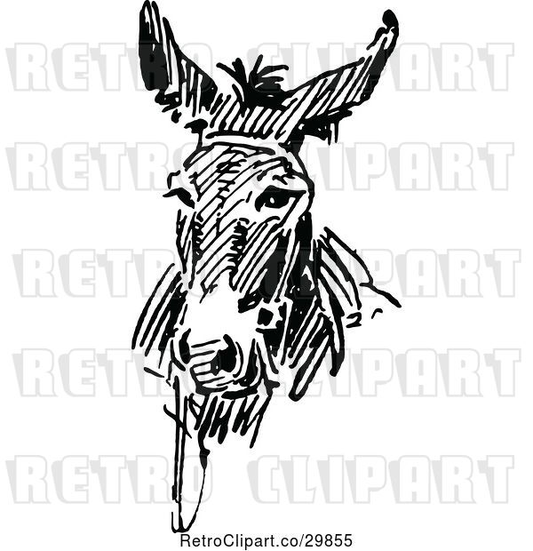 Vector Clip Art of Retro Donkey Face
