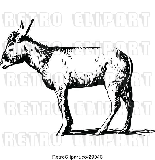 Vector Clip Art of Retro Donkey in Profile