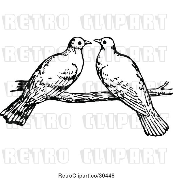 Vector Clip Art of Retro Dove Pair on a Branch