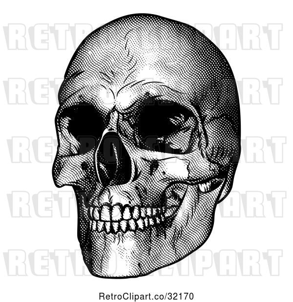 Vector Clip Art of Retro Engraved Human Skull