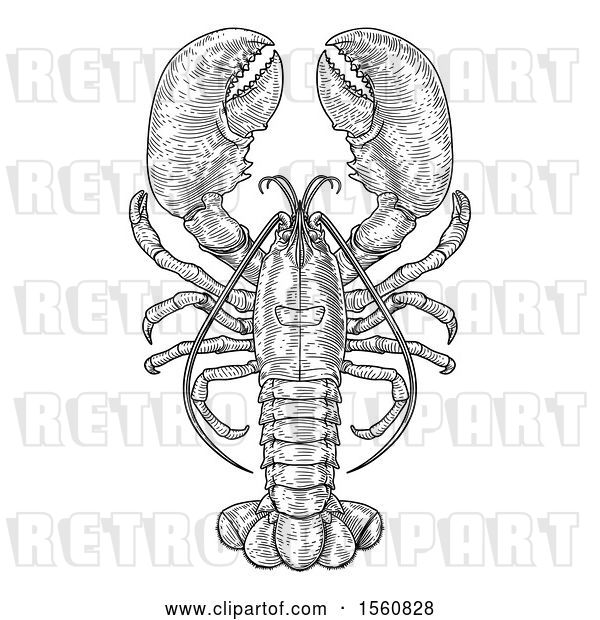 Vector Clip Art of Retro Engraved Lobster