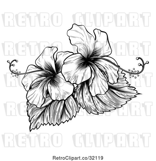 Vector Clip Art of Retro Engraved or Woodcut Hibiscus Flower Design