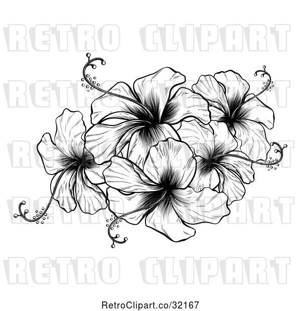 Vector Clip Art of Retro Engraved or Woodcut Hibiscus Flower Design