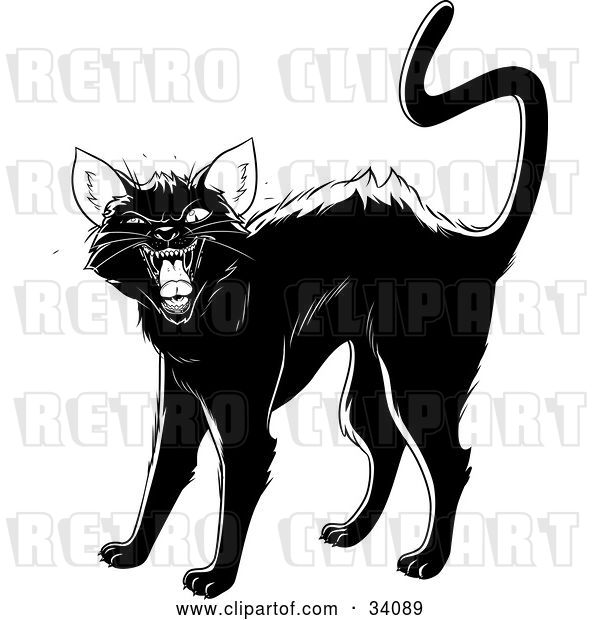Vector Clip Art of Retro Evil Black Cat Arching Its Back, Twitching Its Tail and Hissing
