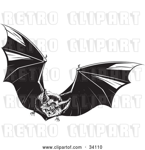 Vector Clip Art of Retro Evil Vampire Bat in Flight, Flapping Its Wings and Flying Forward