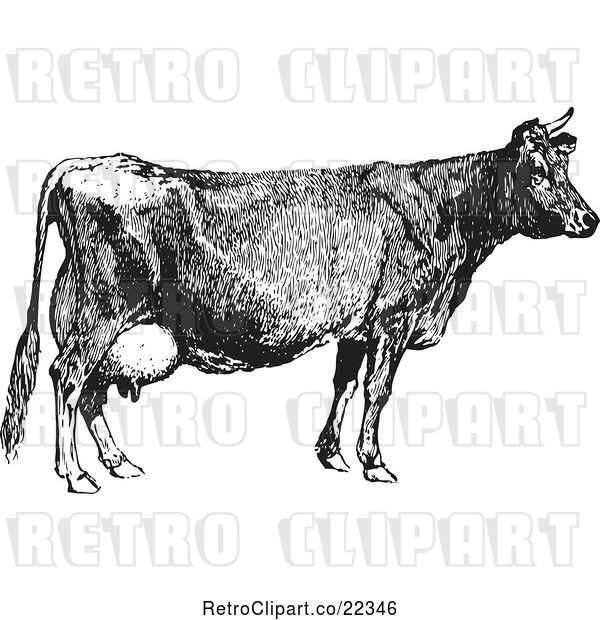 Vector Clip Art of Retro Farm Cow