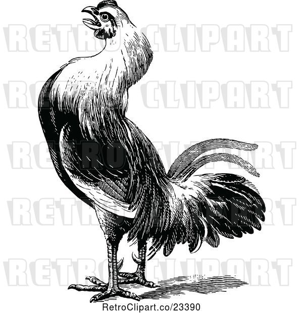Vector Clip Art of Retro Farm Rooster 2