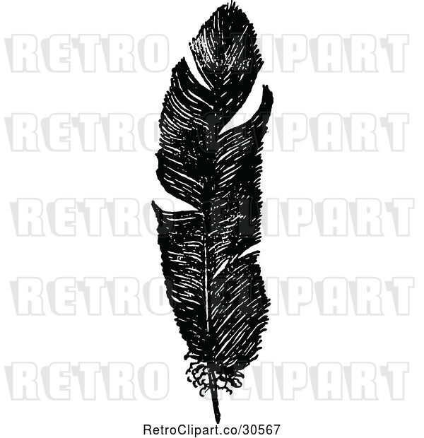 Vector Clip Art of Retro Feather