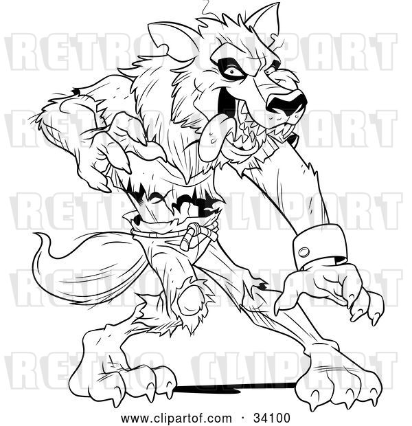 Vector Clip Art of Retro Ferocious Wolfman in Ripped Clothes, Standing in a Defensive Stance
