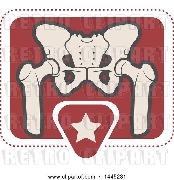 Vector Clip Art of Retro Flat Styled Tan and Red Human Pelvis and Star Medical Design