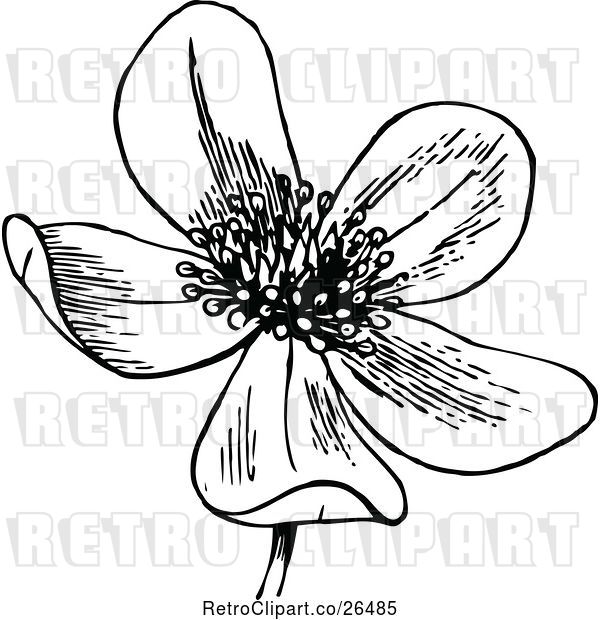 Vector Clip Art of Retro Flower