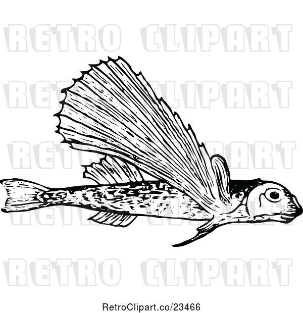 Vector Clip Art of Retro Flying Fish