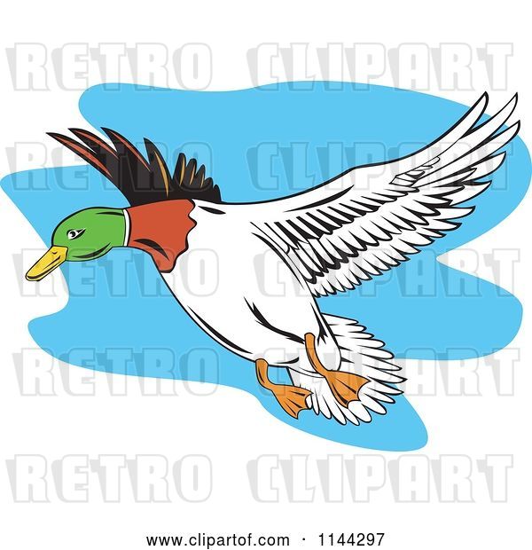 Vector Clip Art of Retro Flying Mallard Duck