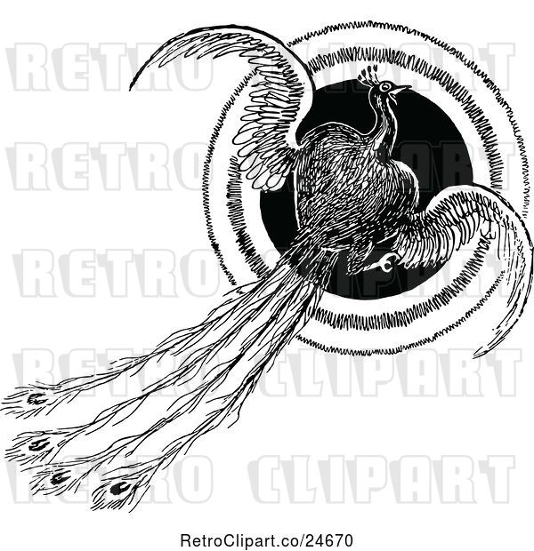 Vector Clip Art of Retro Flying Peacock and Circle